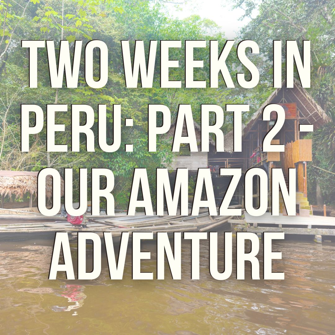 Our Peruvian Amazon Adventure - Treehouses, Sloths and Monkeys Galore