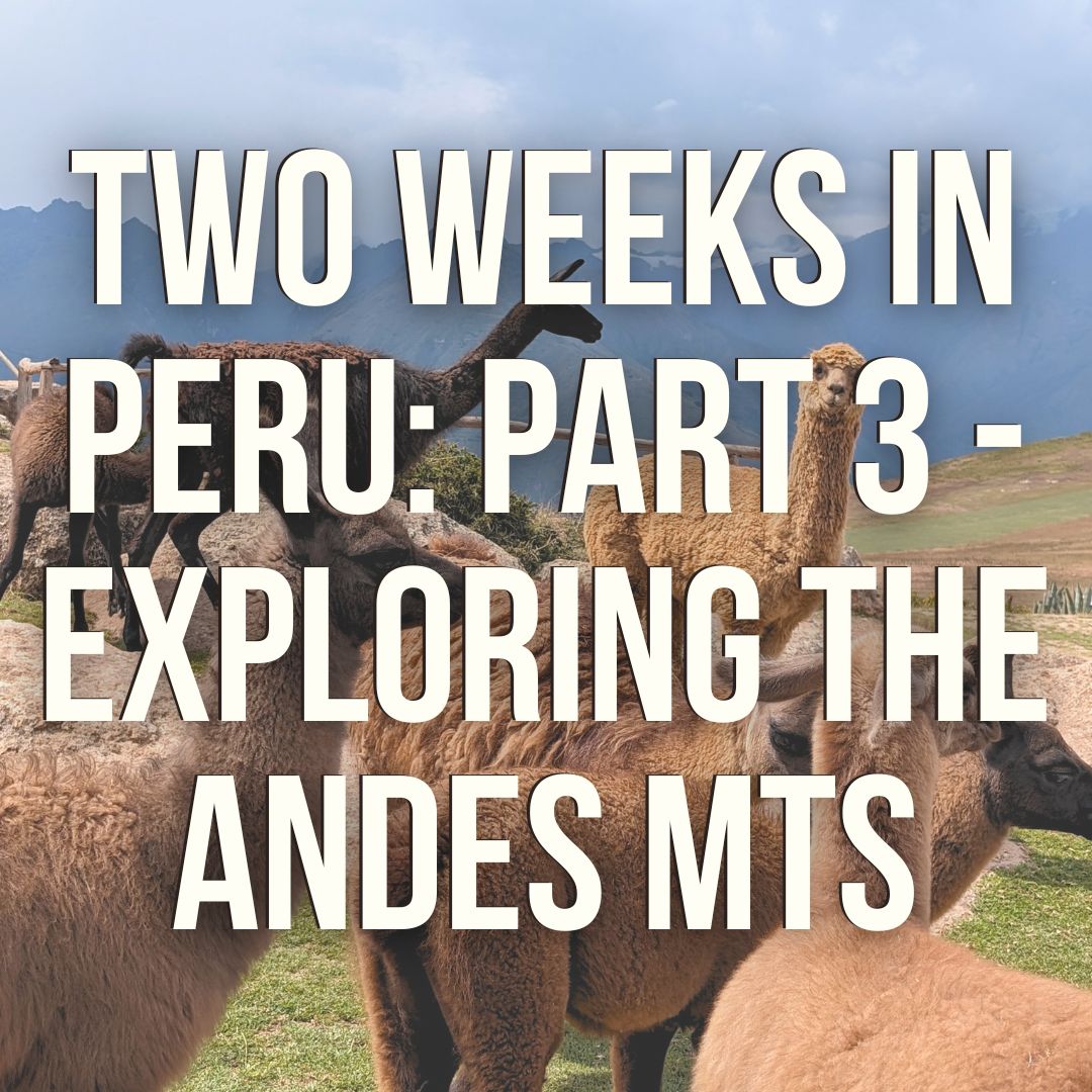 Exploring the Andes - Machu Picchu, the Sacred Valley and Endless Vomiting