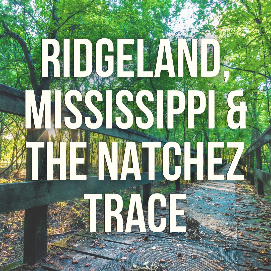 Surprise Mississippi: I had no idea Ridgeland and the Natches Trace were this cool