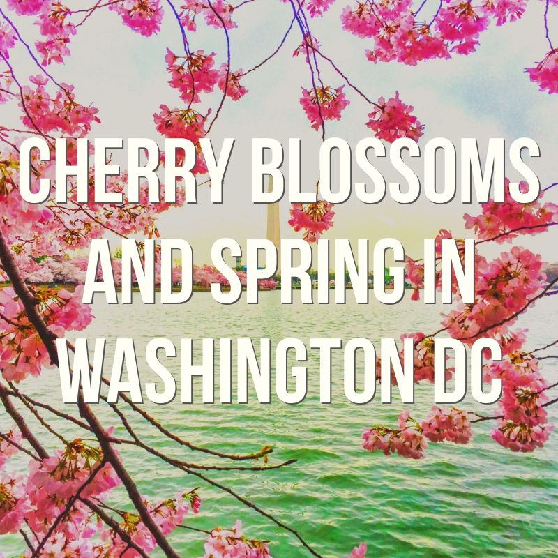Springtime in Washington Dc: Cherry Blossom Festival and Best Activities in Spring