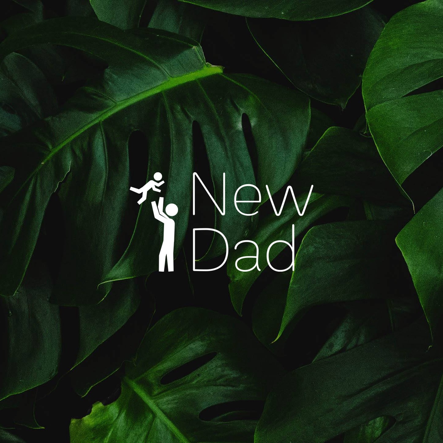 New Dad Podcast Presents: A Guide to being a Zaddy (Part 2)