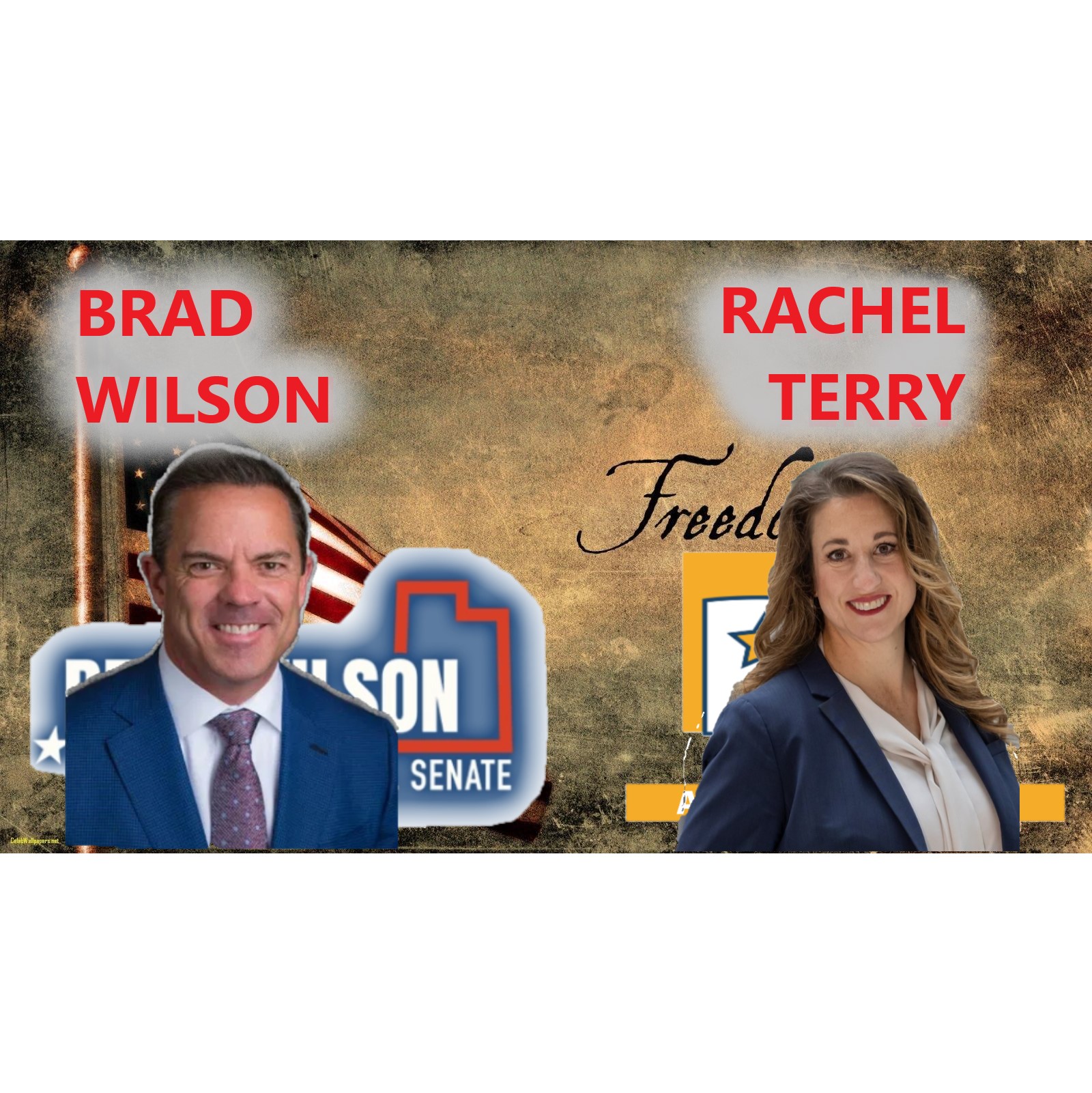 Brad Wilson running for US Senate, Civil Police Action, Rachel Terry for Utah Attorney General.