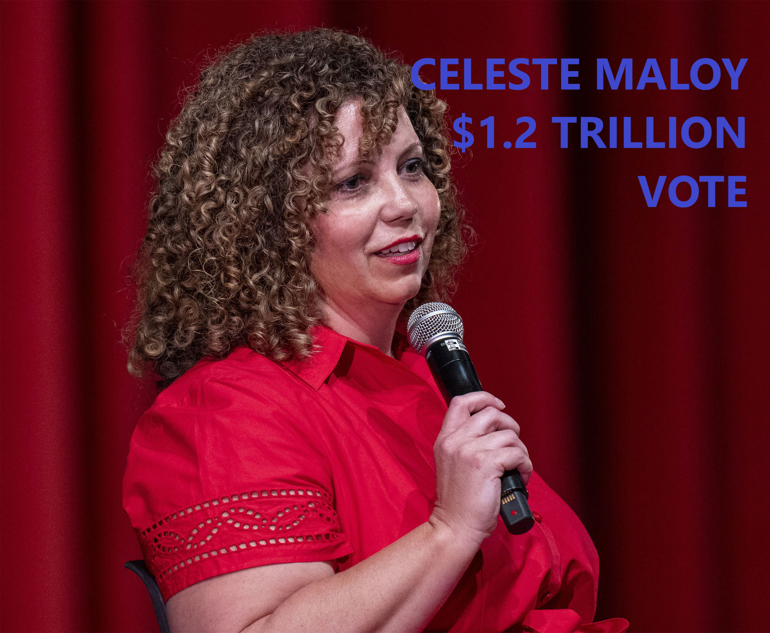Celeste Maloy discussing vote