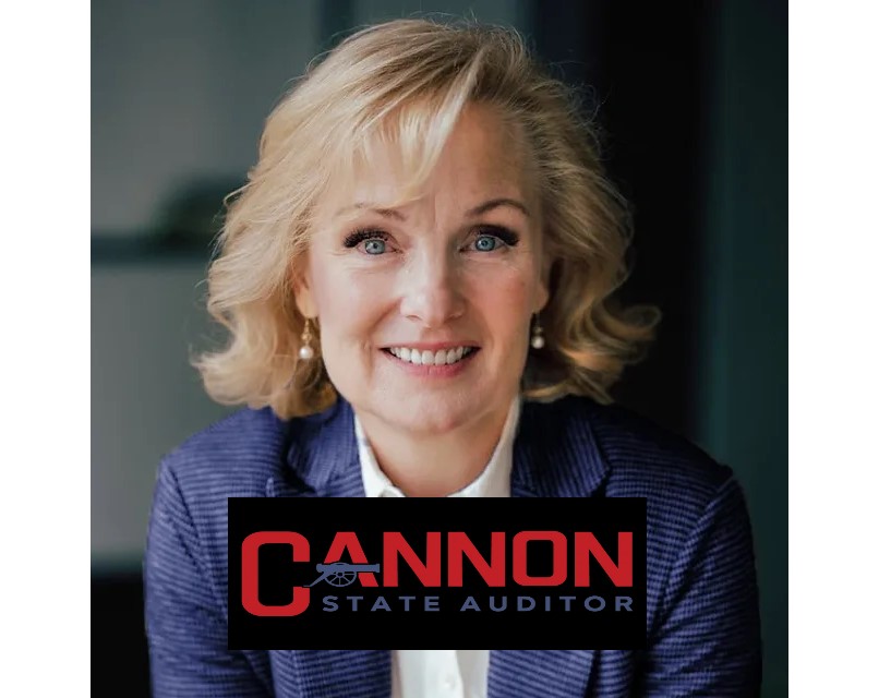 
                    Tina Cannon for State Auditor
                