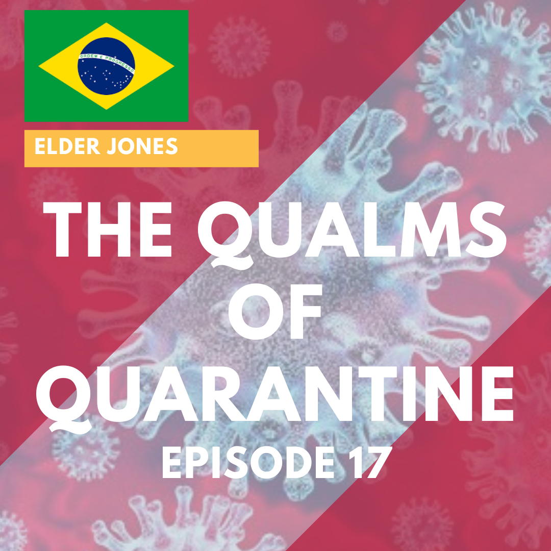 17 - The Qualms of Quarantine Chapter 2 - Brazil São Paulo West