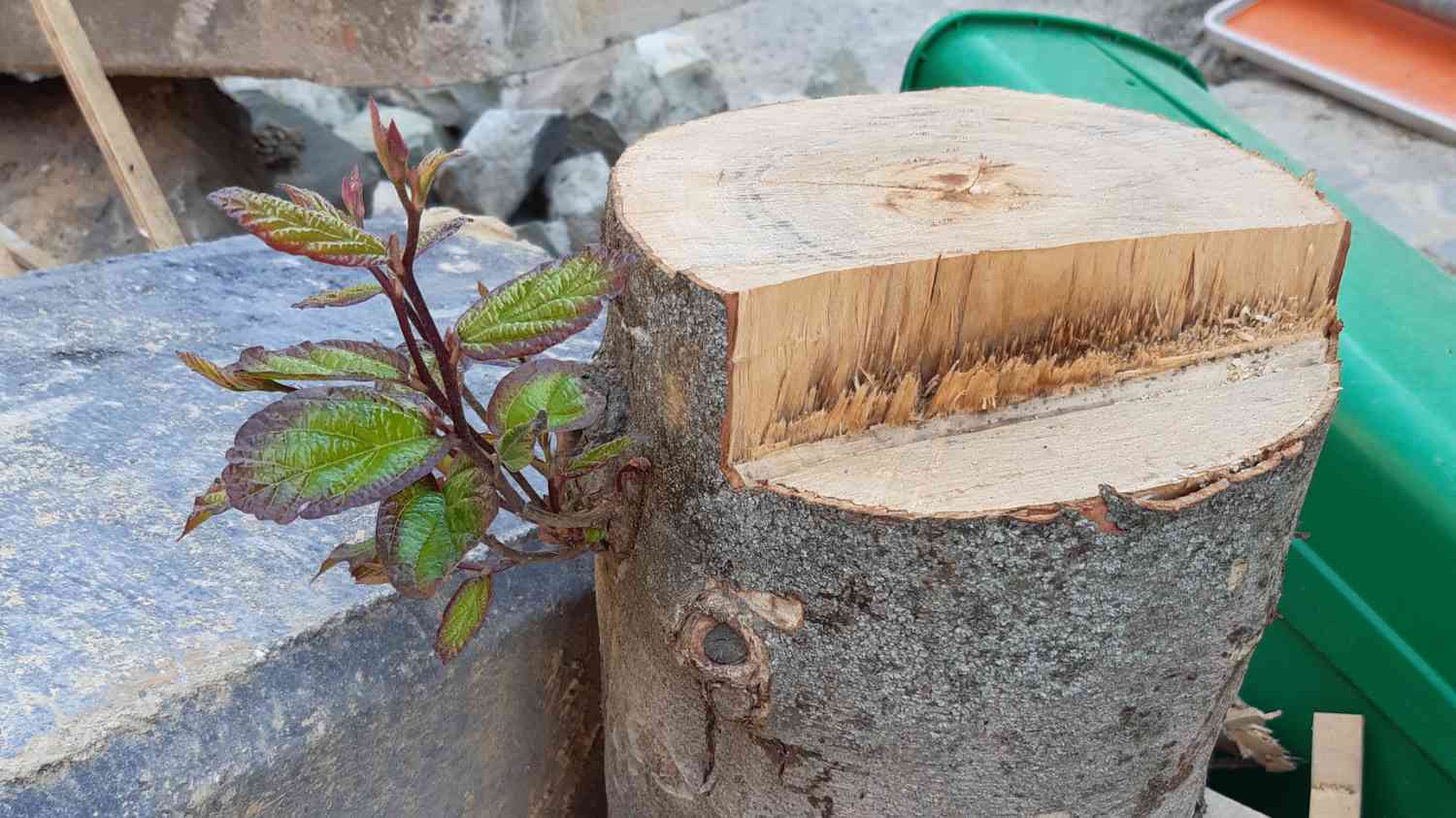 Podcast: Über die Widerständigkeit der Natur