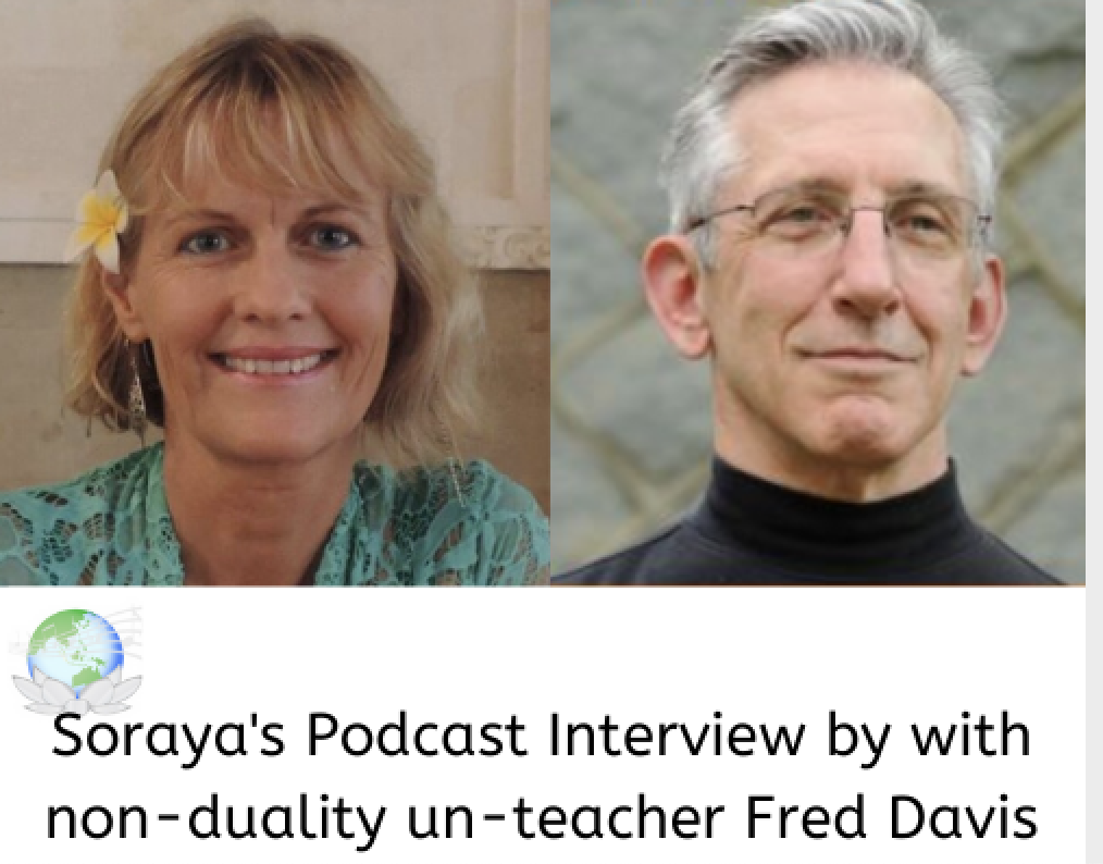 Fred Davis: Nonduality Teacher
