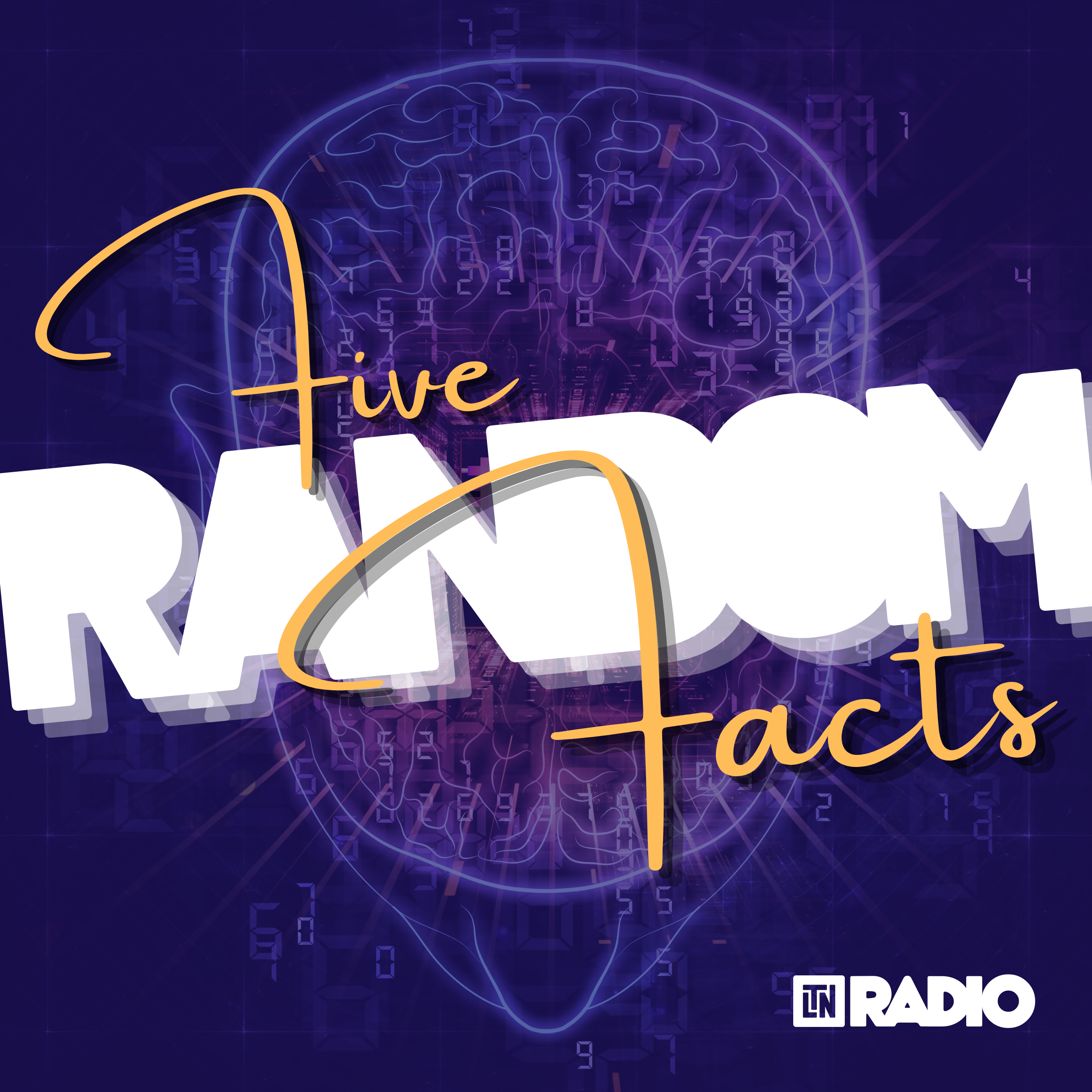 5 Random Facts 2 | Pigeon Poop