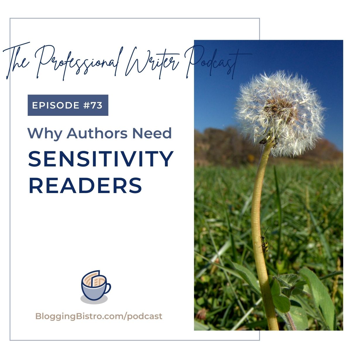 73 - Sensitivity Readers and Subject Matter Experts: Why Authors Need Them