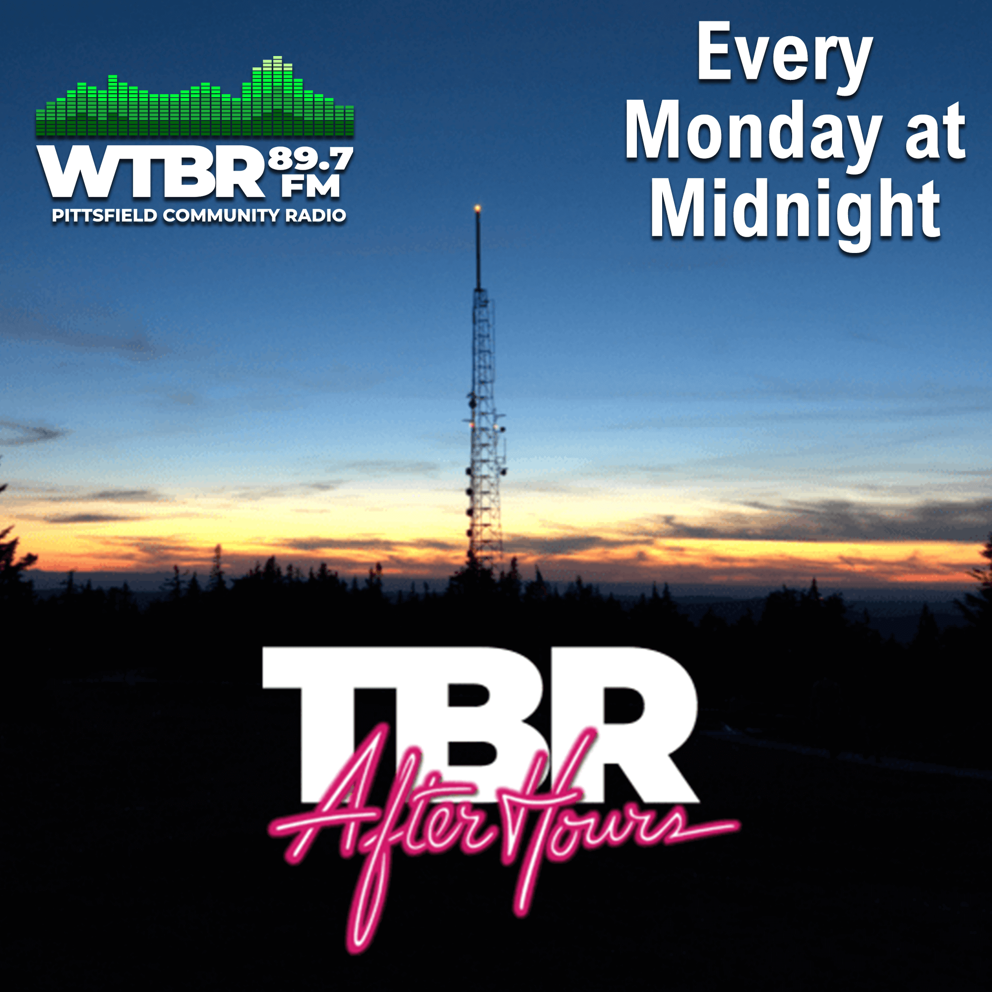 TBR After Hours - Show 35 - BRUCE SPRINGSTEEN
