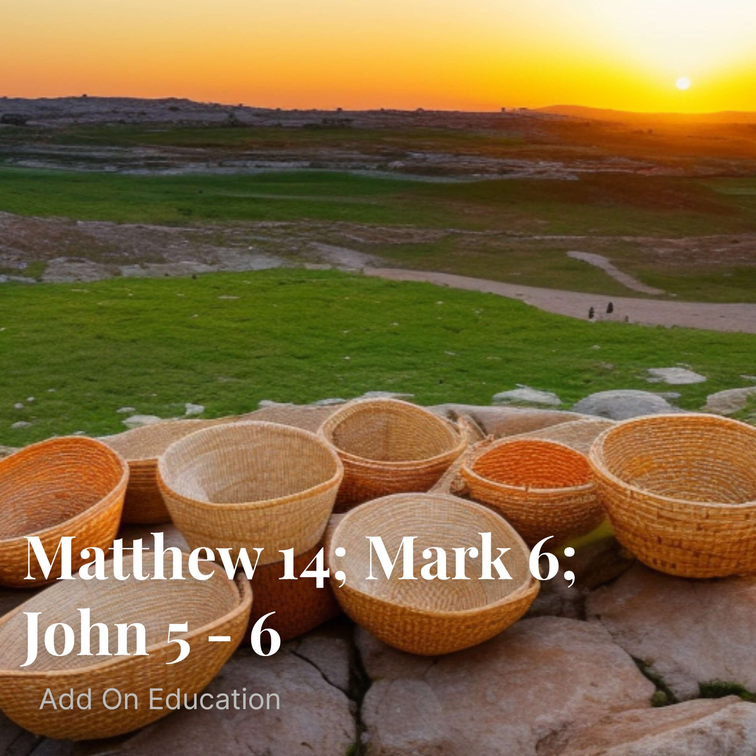 Matthew 14; Mark 6; John 5-6
