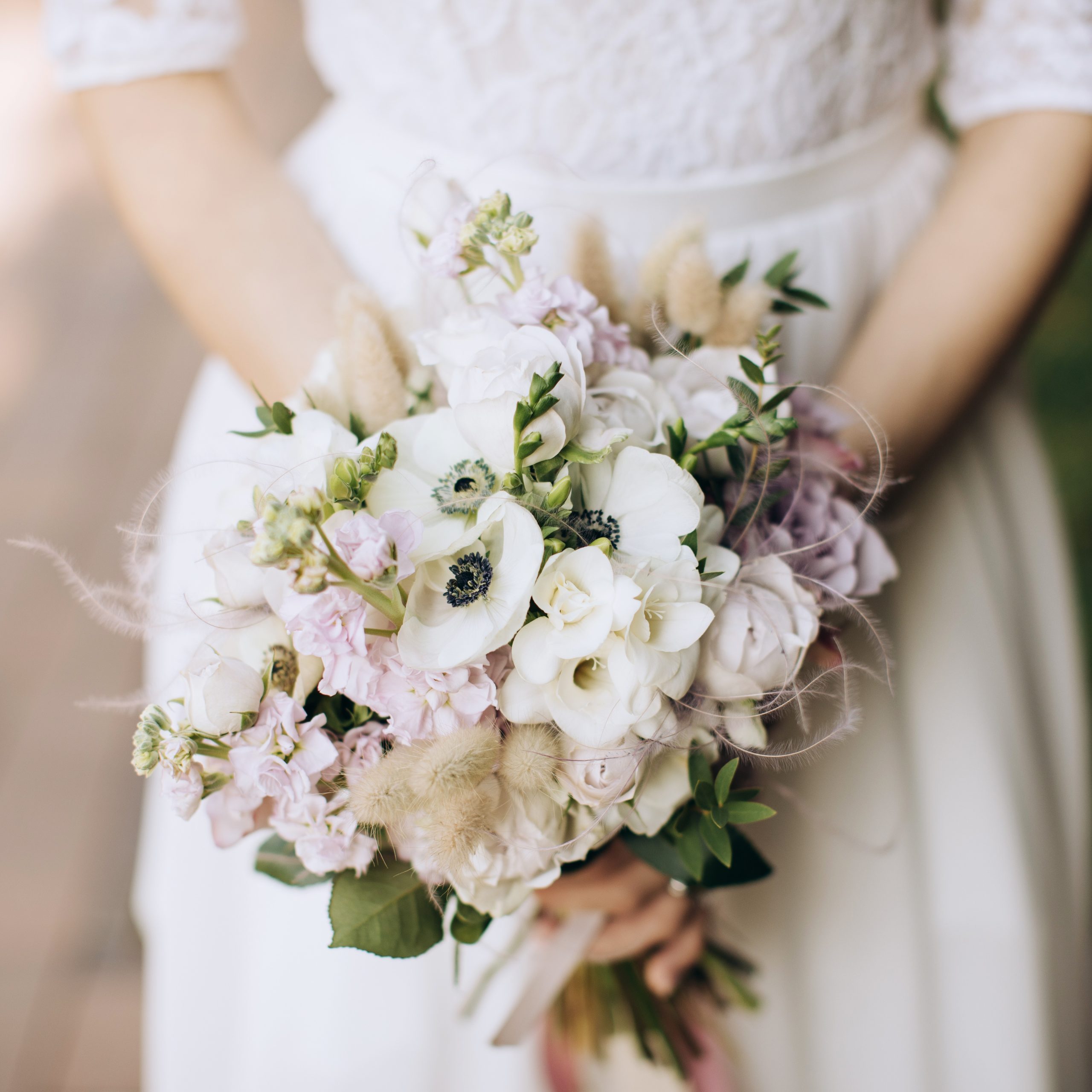 BONUS: Song of Solomon (Re-run)