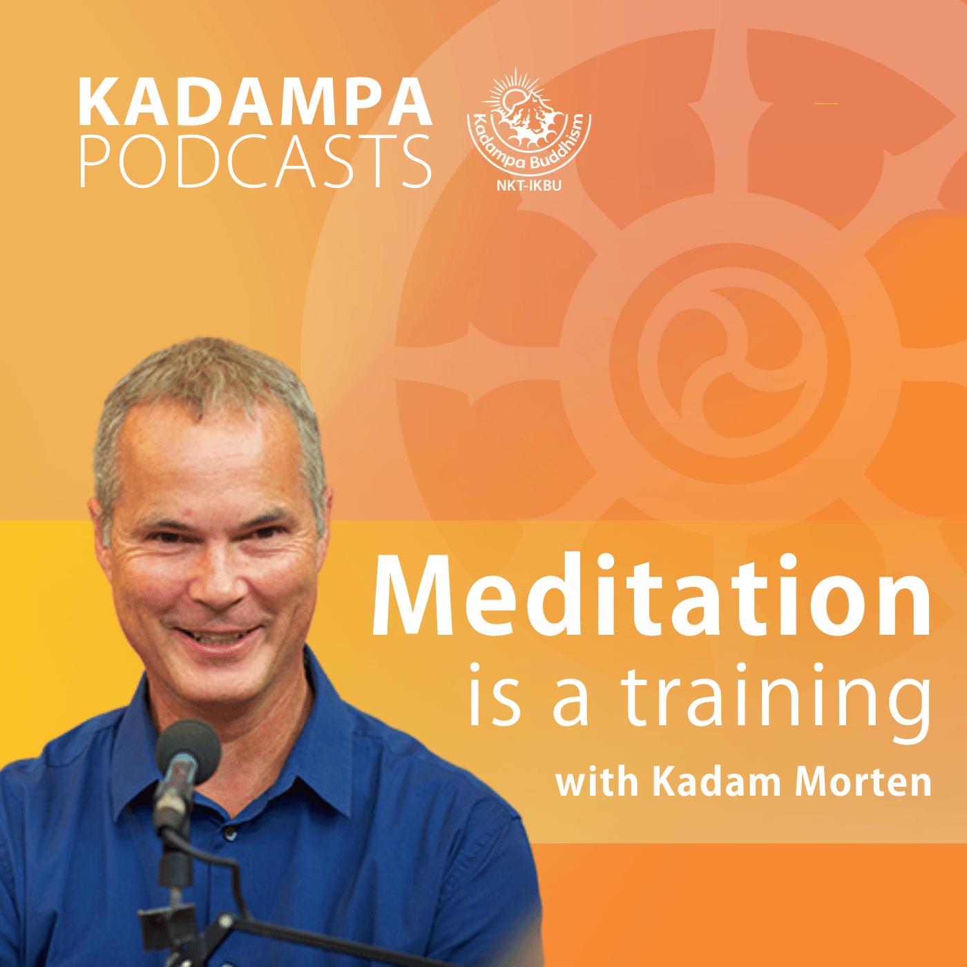 Meditation is a Training