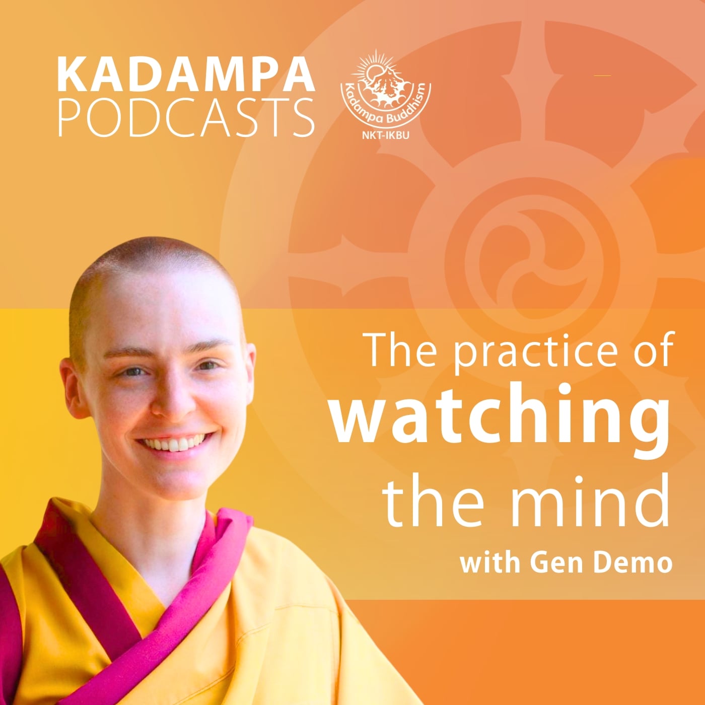 The practice of watching the mind