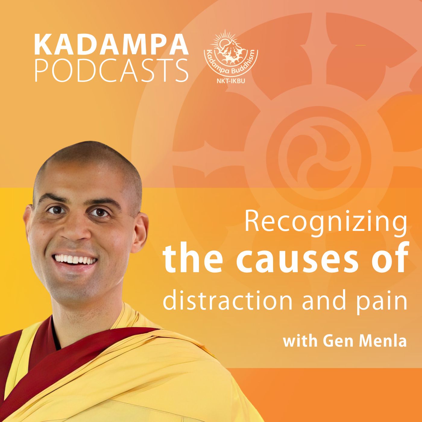 Recognising causes of distraction and pain