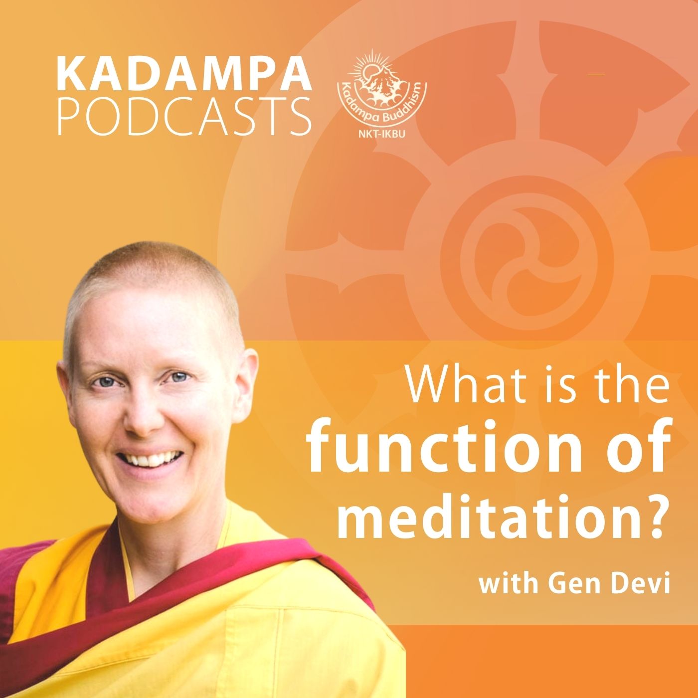 What is the function of meditation?