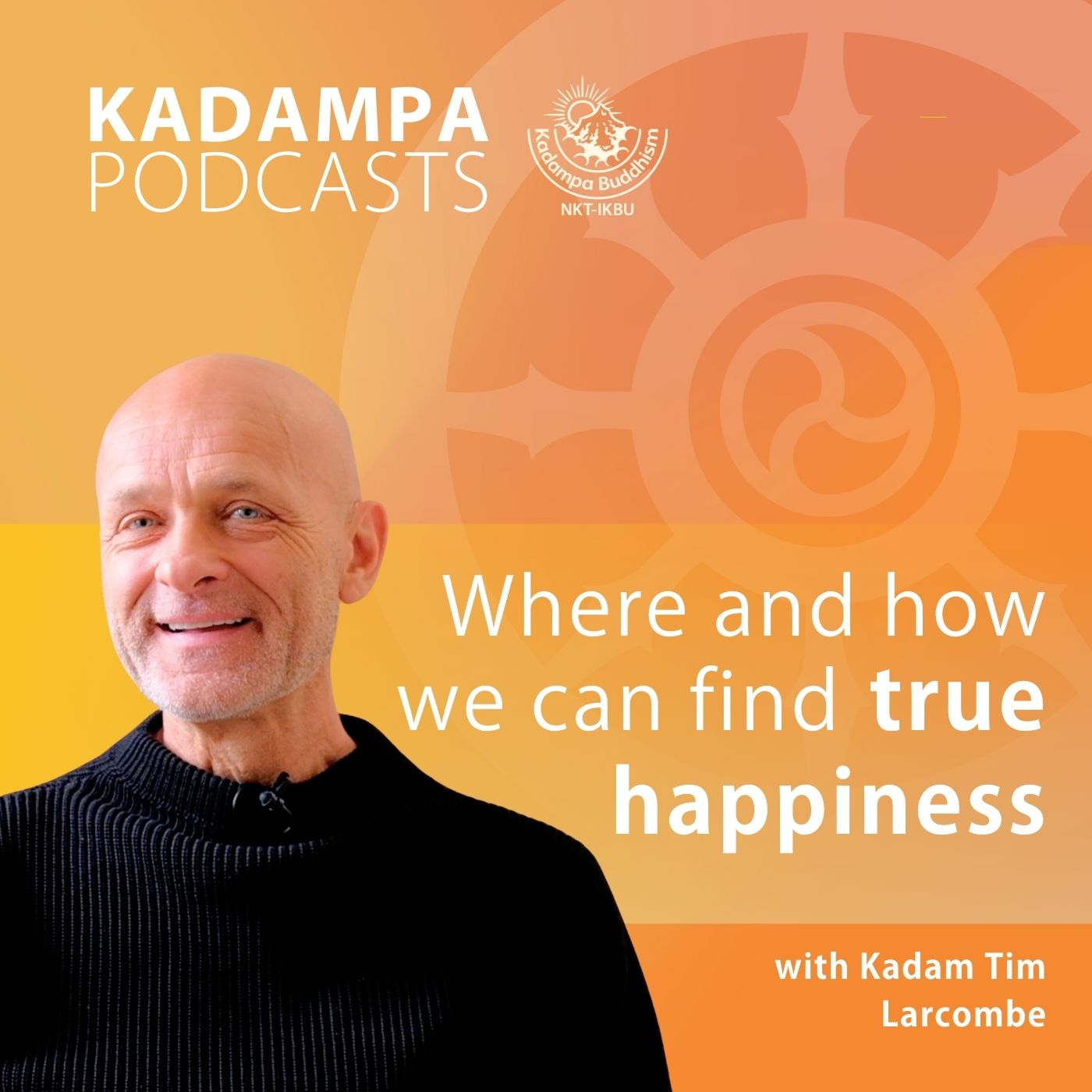 Where and how we can find true happiness