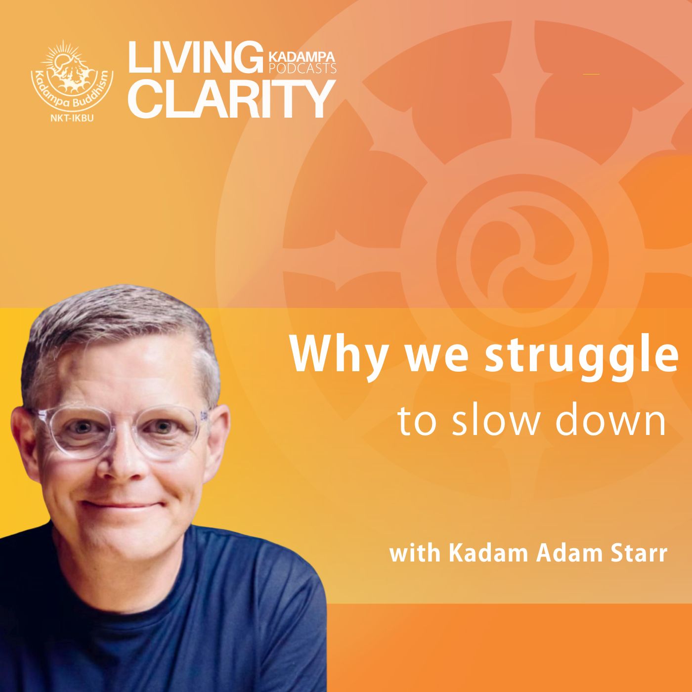 Episode Cover