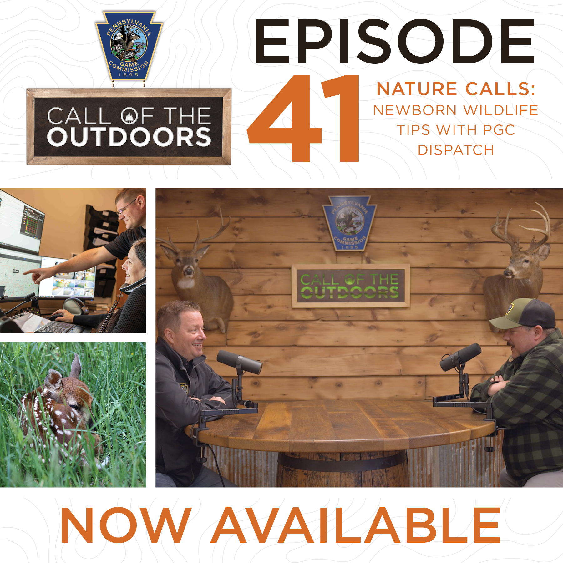 Episode 41: Nature Calls: Newborn Wildlife Tips with PGC Dispatch