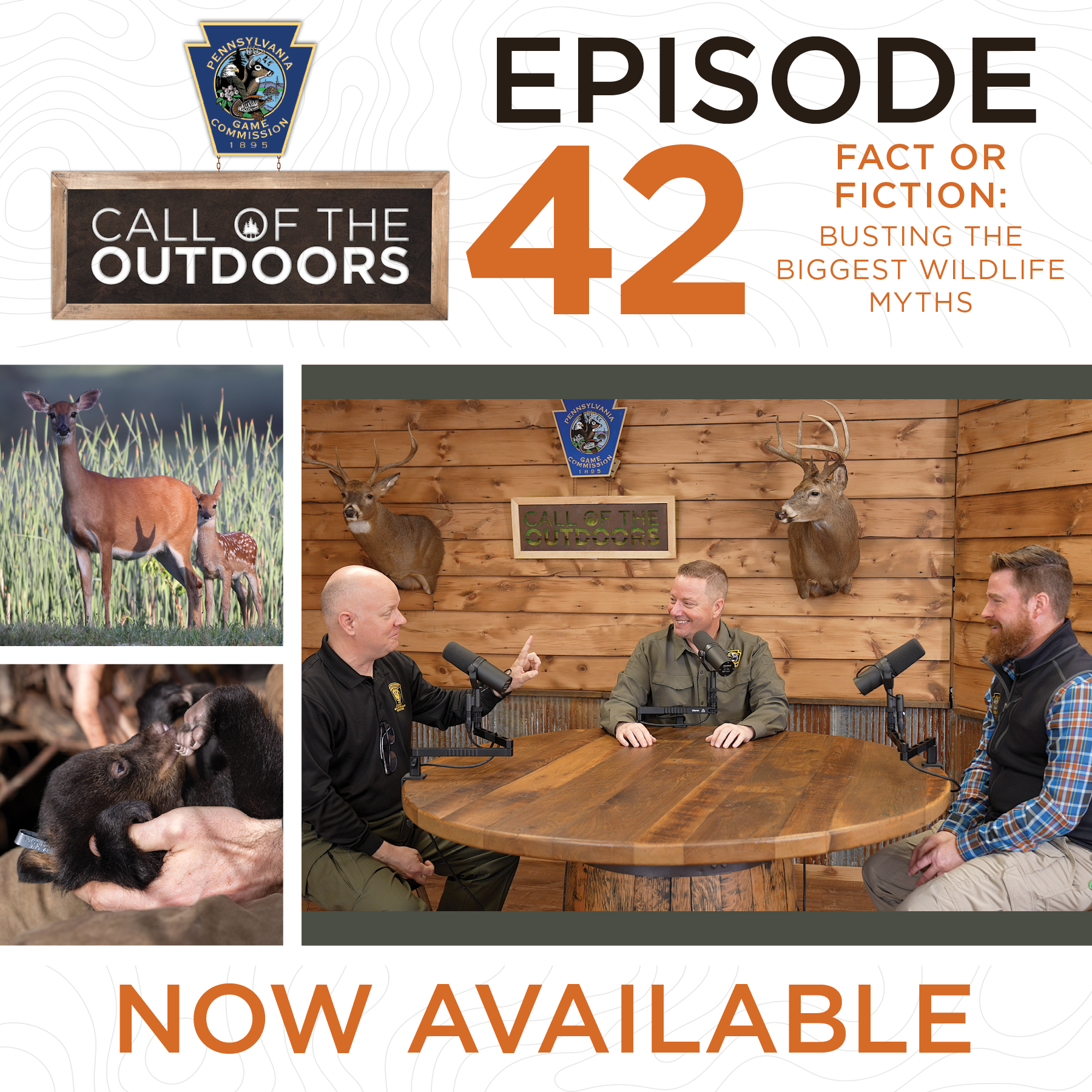 Episode 42: Fact or Fiction: Busting the Biggest Wildlife Myths