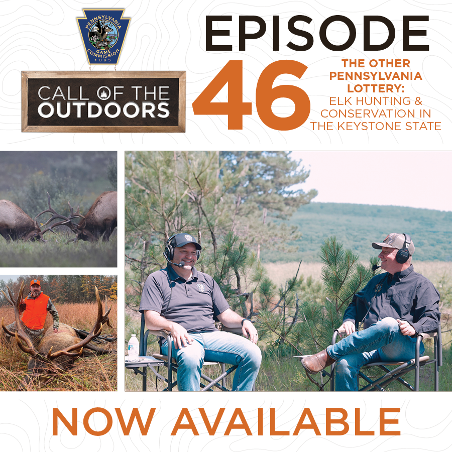 Episode 46: The Other Pennsylvania Lottery: Elk Hunting & Conservation in the Keystone State