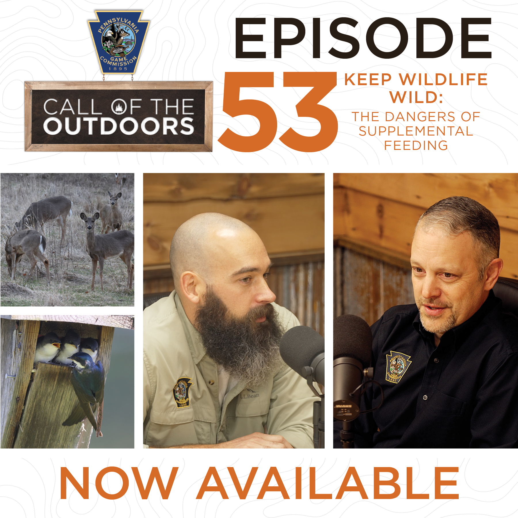 Call of the Outdoors Episode 53: Keep Wildlife Wild-The Dangers of Supplemental Feeding