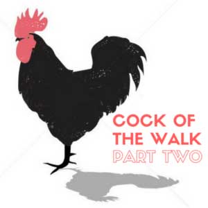 Episode Cover