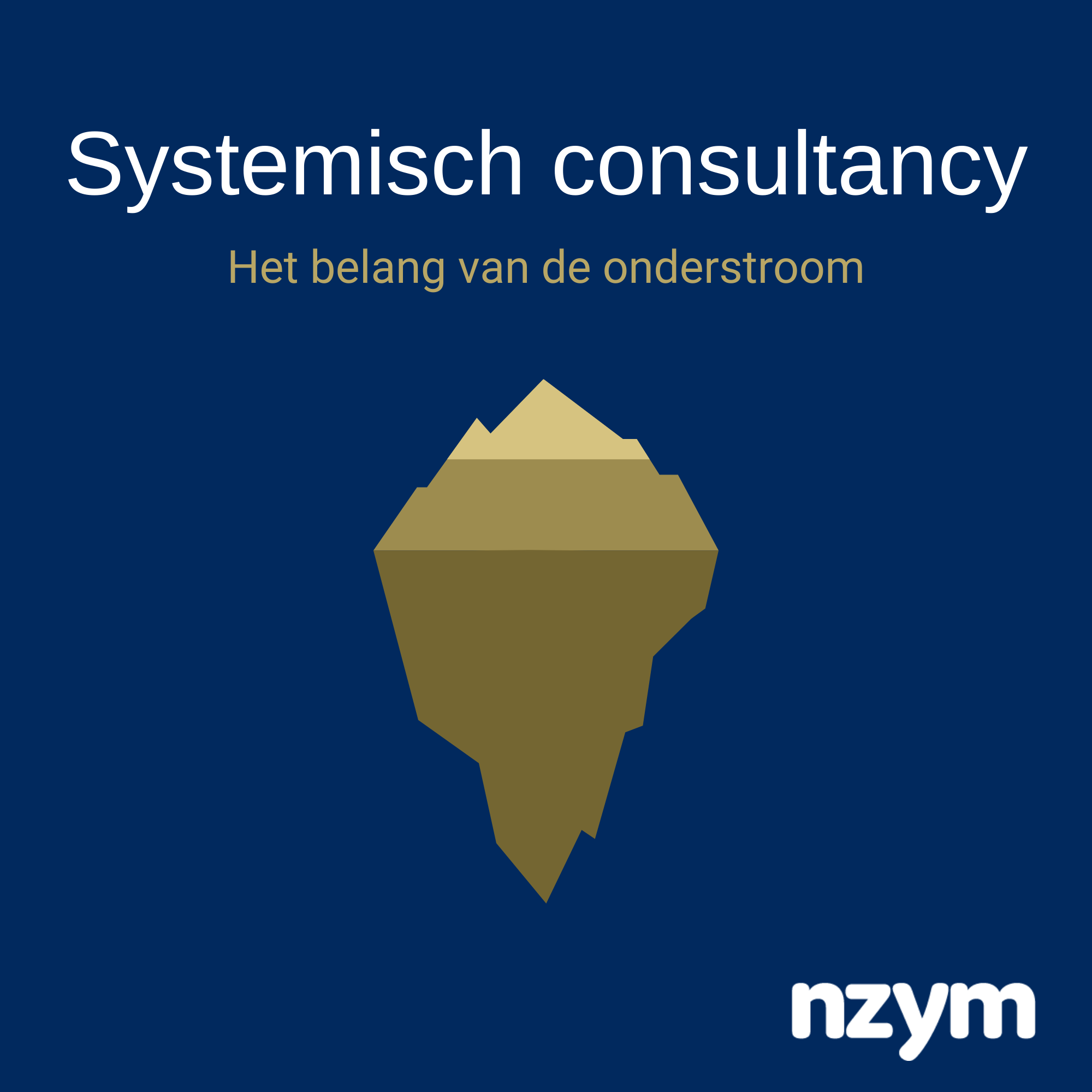 Aflevering 1: Wat is systemisch consultancy?