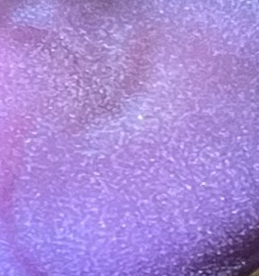 Folge 171: Ein leuchtendes Violett (Farbenmischen Tag 2)