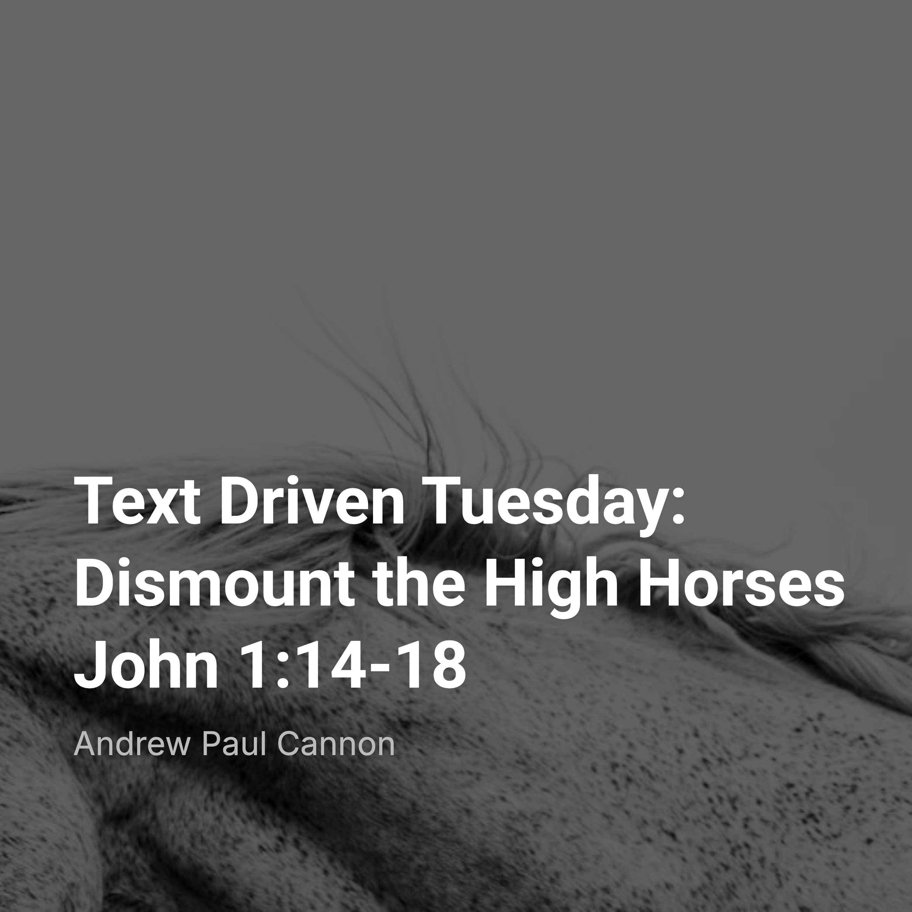 Text Driven Tuesday: Dismount the High Horses, John 1:14-18