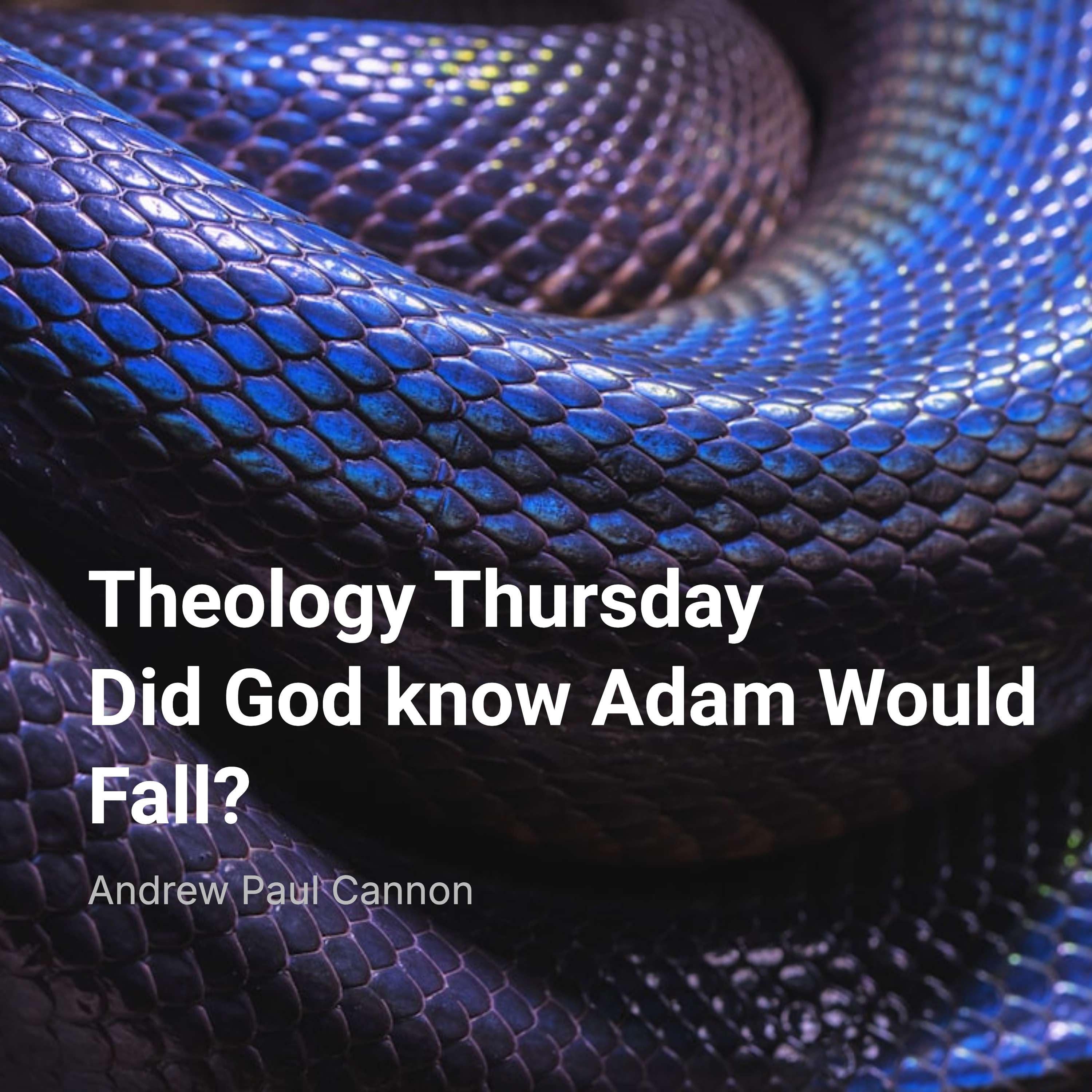 Theology Thursday: Did God Know Adam Would Fall?