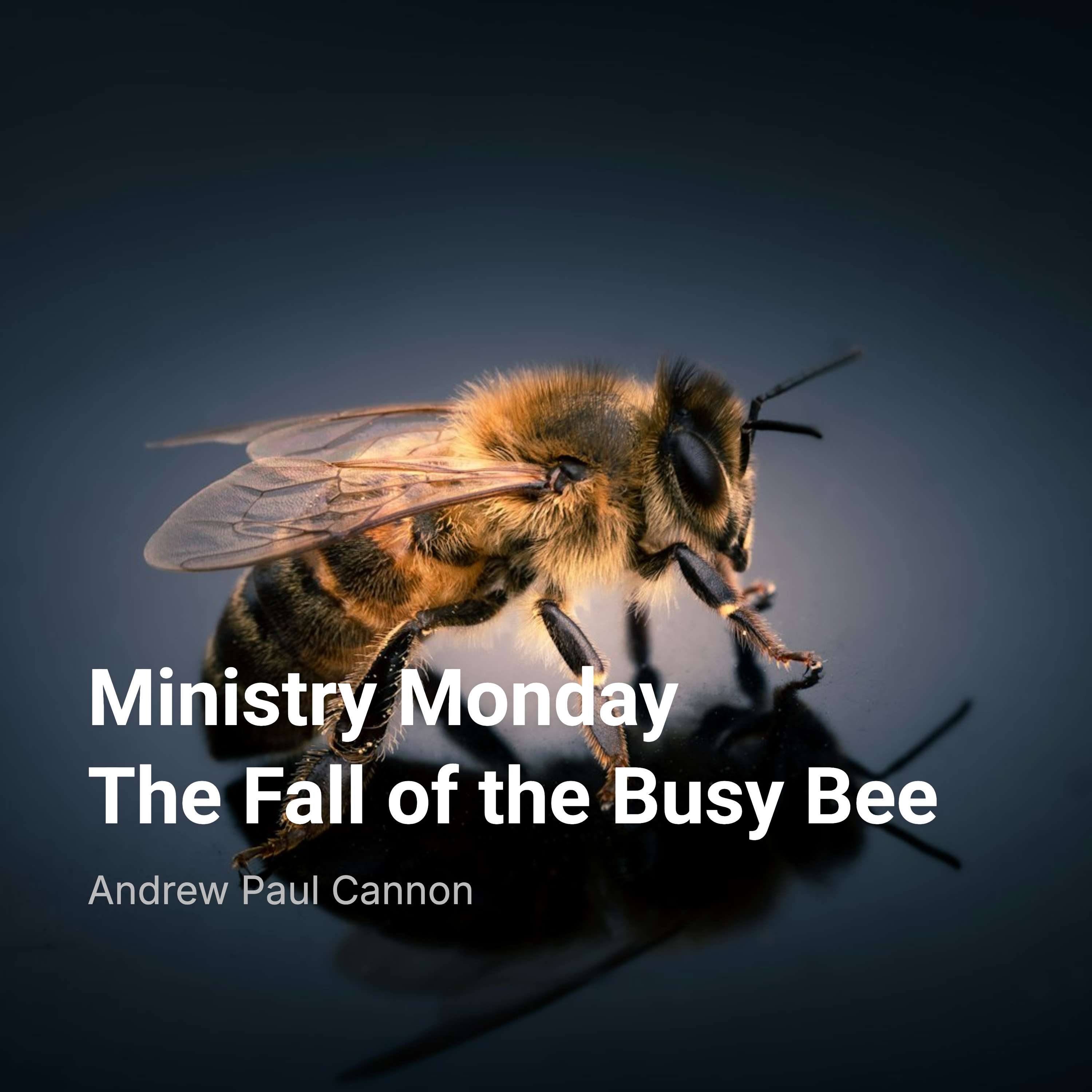 Ministry Monday: The Fall of the Busy Bee