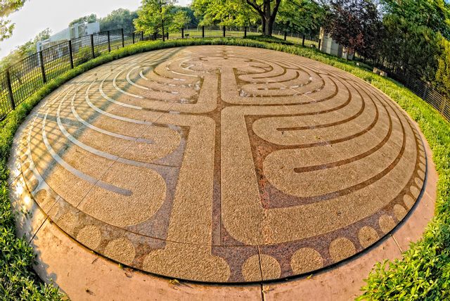 Part 2 Theoretical Activism, An Exploration of Wu Wei: Practical Application of Philosophy, A Panel Discussion