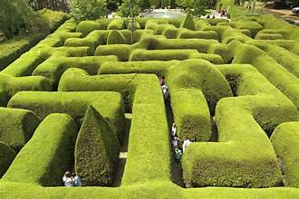 The Labyrinth