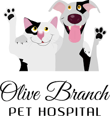 03/11/2025  Olive Branch Pet Hospital