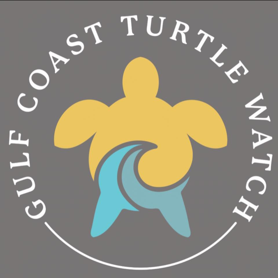05/29/2025   Sea Turtle Baby Shower- Pensacola Beach