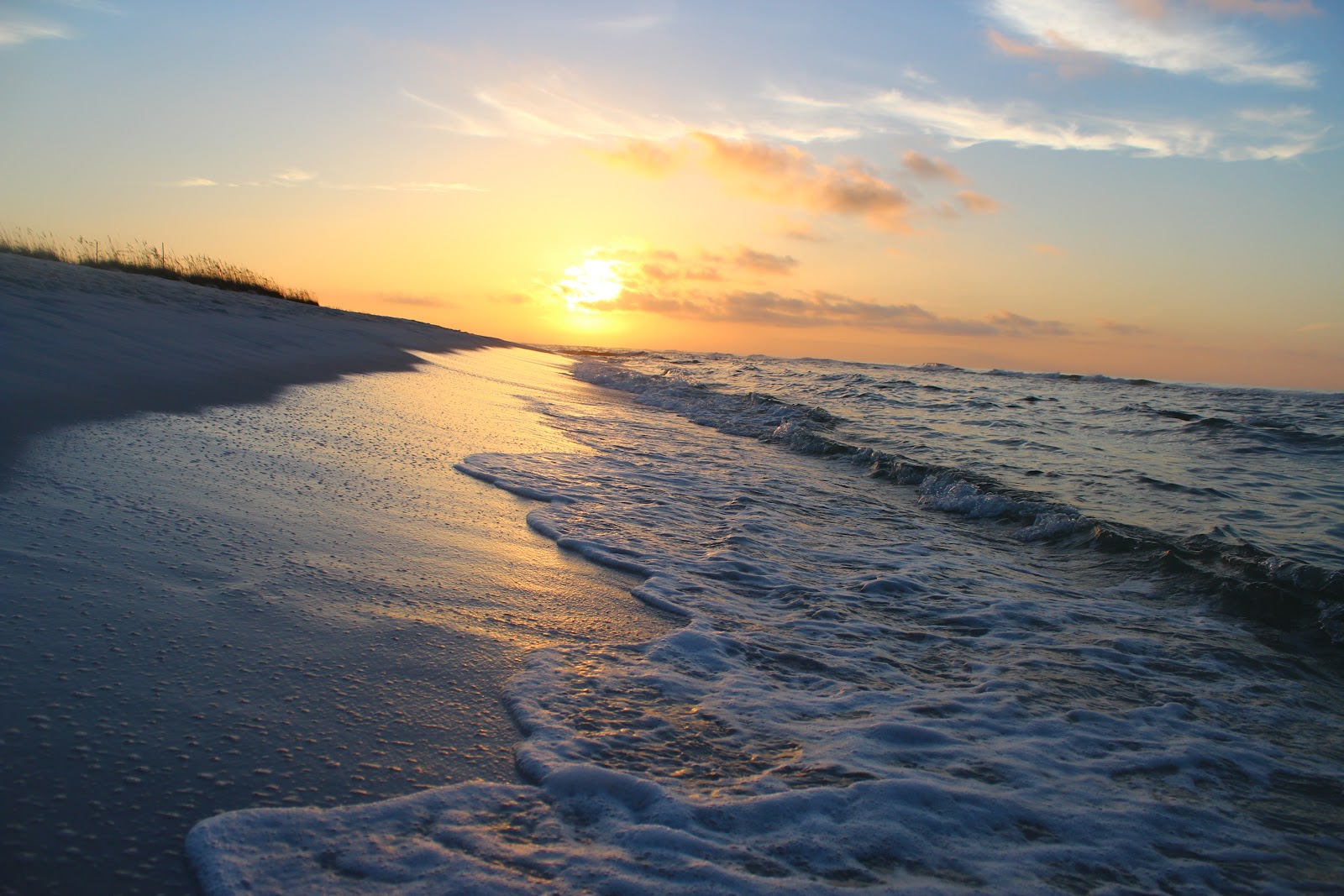 10/03/2025   What's Happening in Pensacola this Weekend