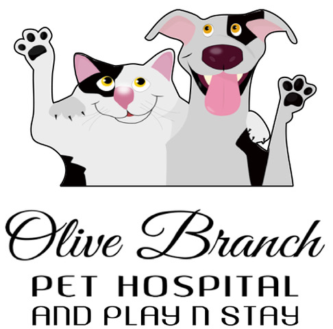 03/26/2026  "Sit, Stay and Listen with Dr. Mark" - Olive Branch Pet Hospital & Play n' Stay Boarding and Daycarer