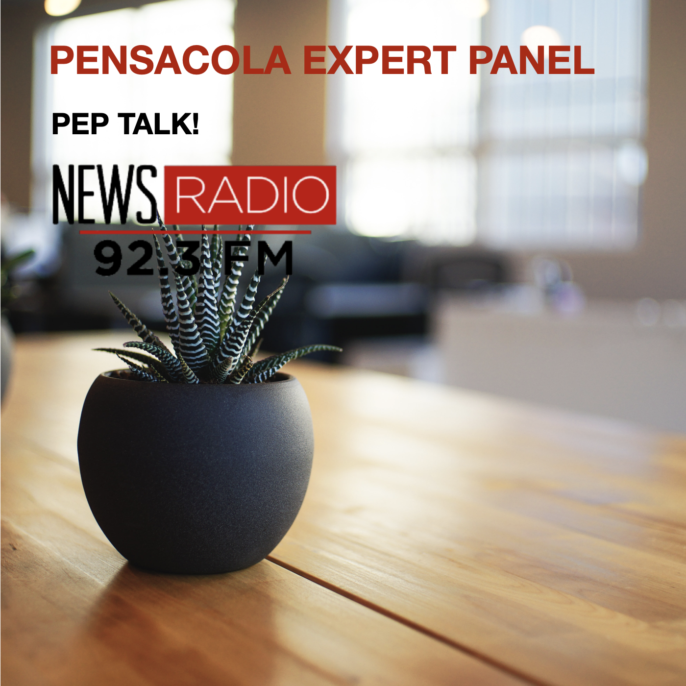 Pensacola Expert Panel
