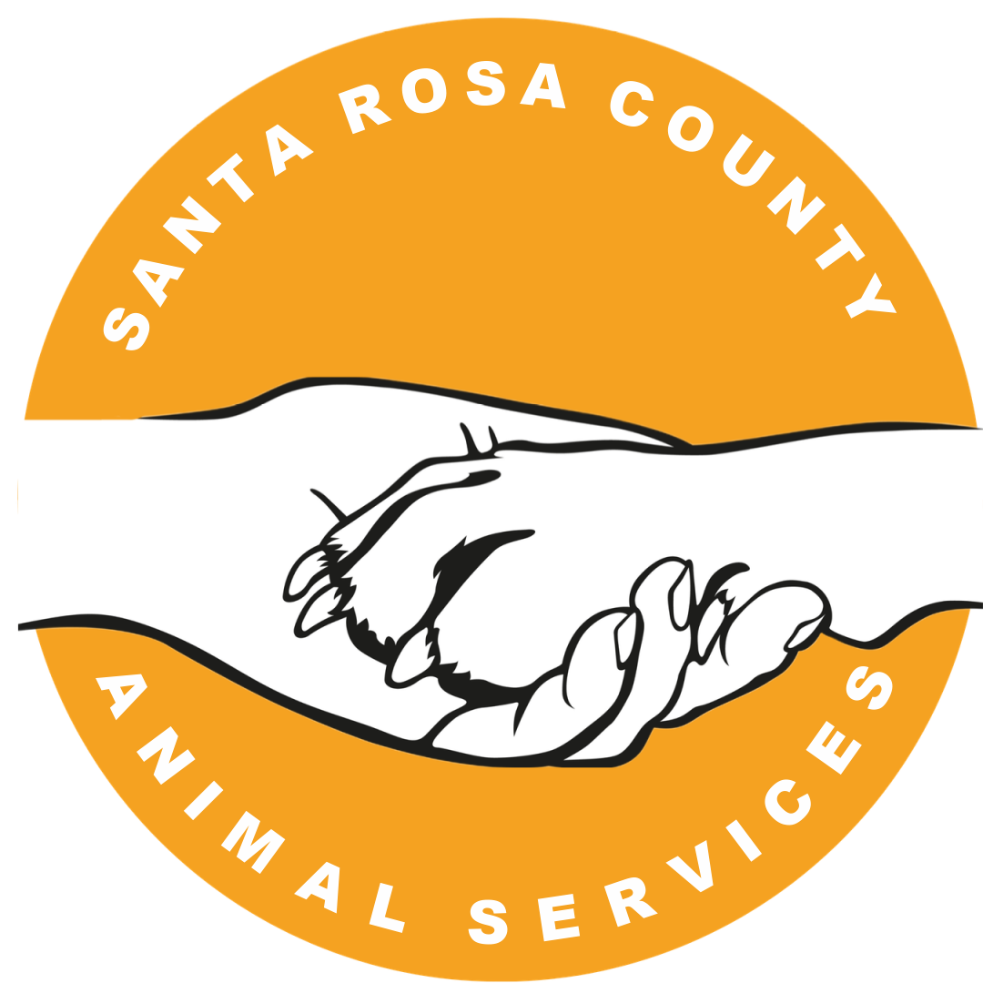 02/12/21 - Frisky Friday - Santa Rosa County Animal Services