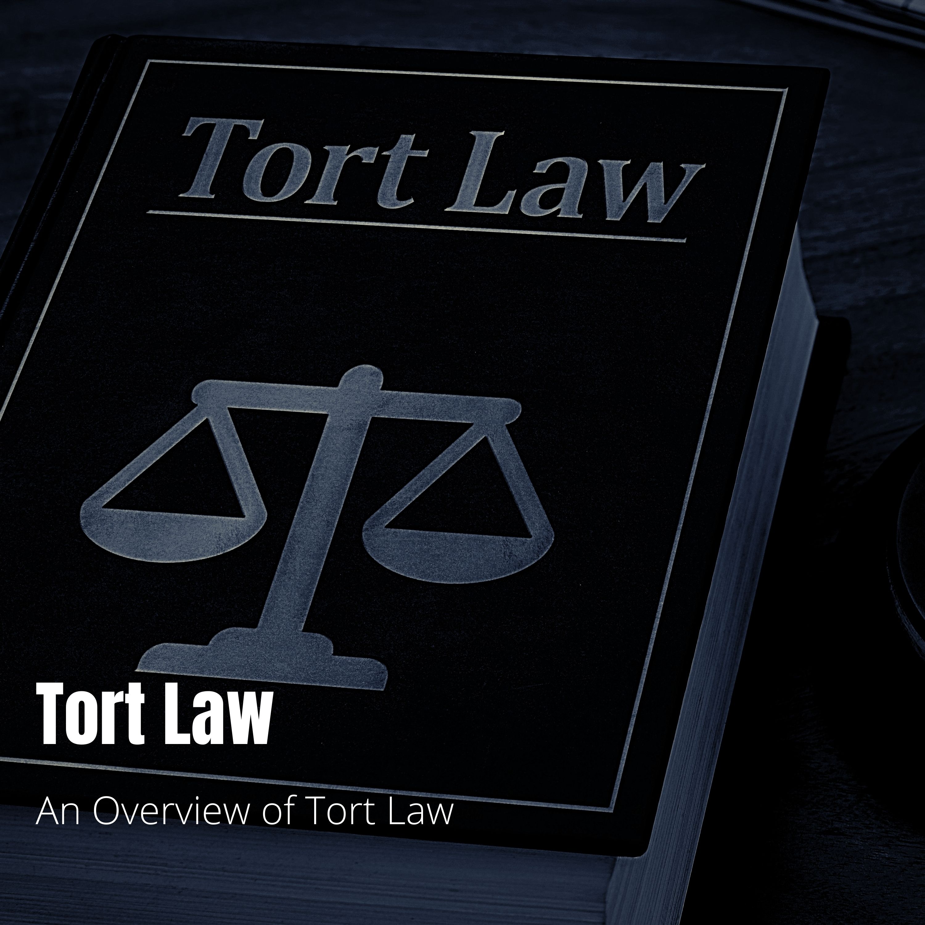 Tort Law - Lecture 1: An Overview of Tort Law