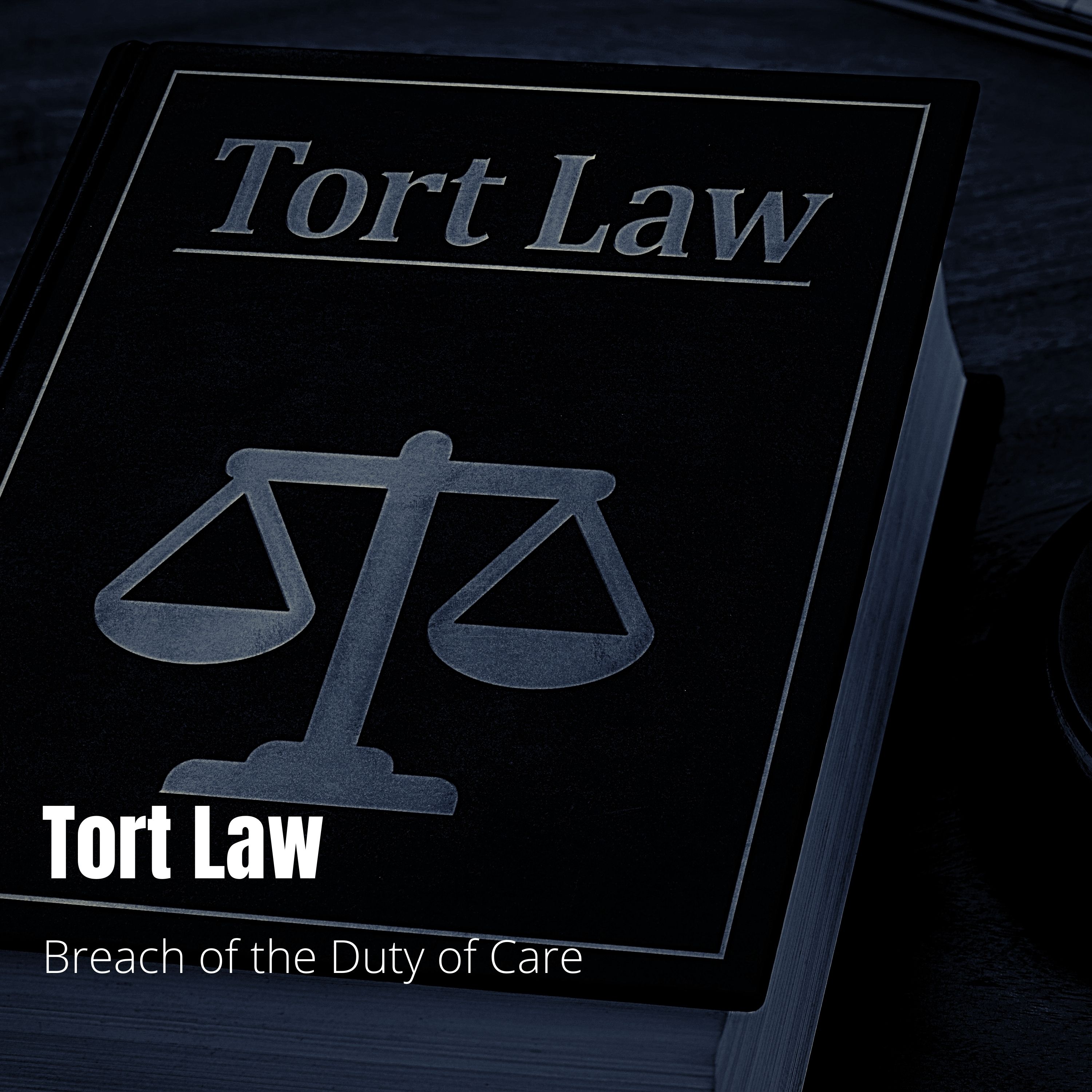 Tort Law - Lecture 4: Breach of the Duty of Care