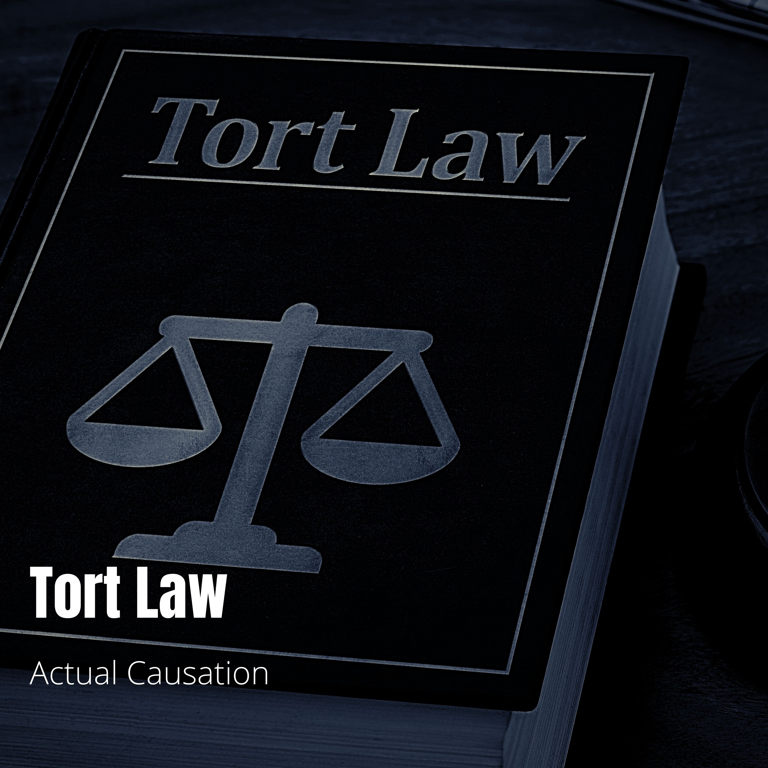 Tort Law - Lecture 5: Actual Causation