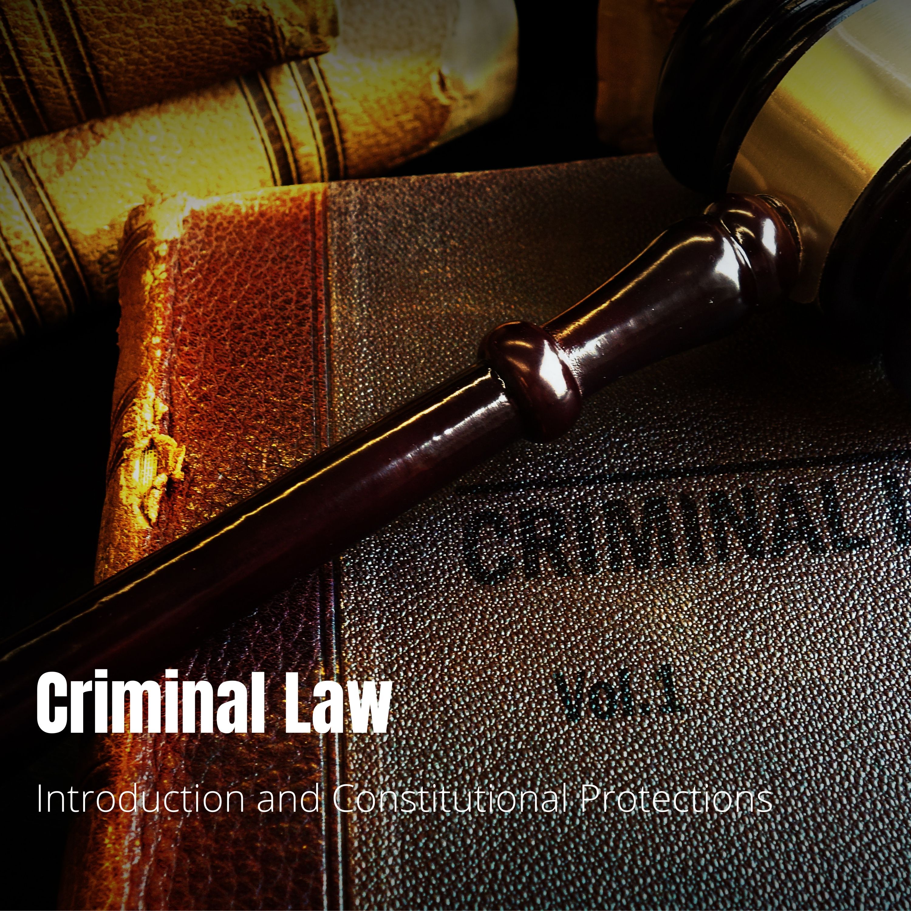 Criminal Law - Lecture 1: Introduction to Criminal Law & Constitutional Protections