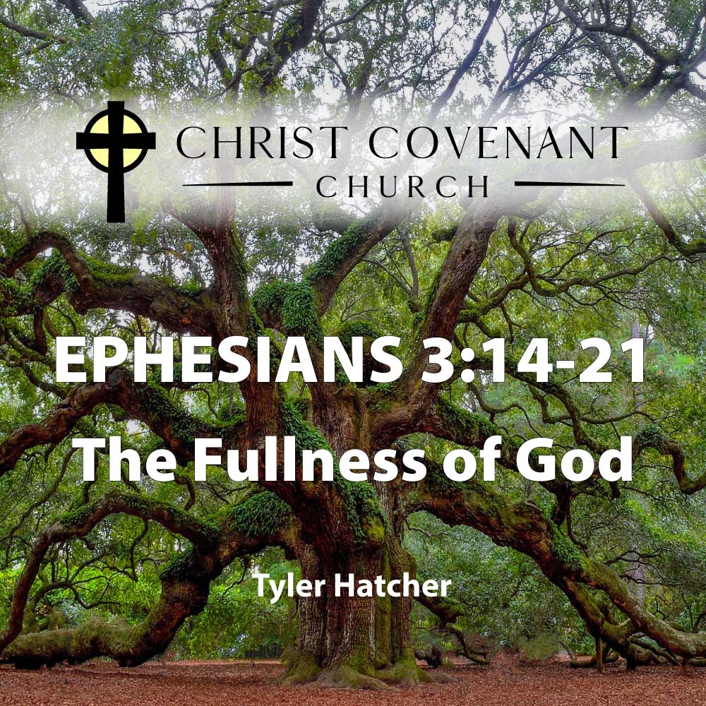Ep. 74: Ephesians 3:14-21 | The Fullness of God | Tyler Hatcher