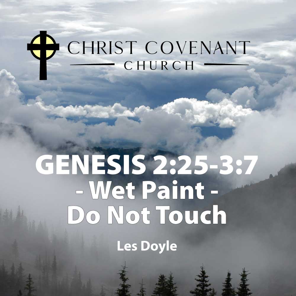 Ep. 71: Genesis 2:25-3:7 | Wet Paint: Do Not Touch | Les Doyle