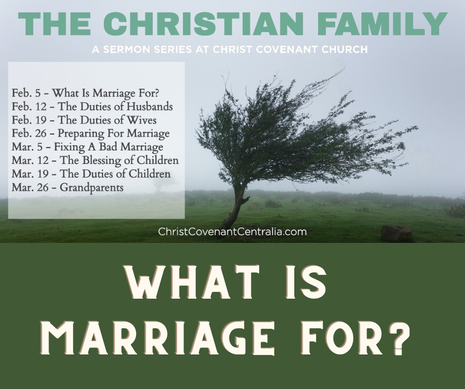 Ep 124 - The Christian Family Part 1 - What is Marriage For? | Aaron Ventura