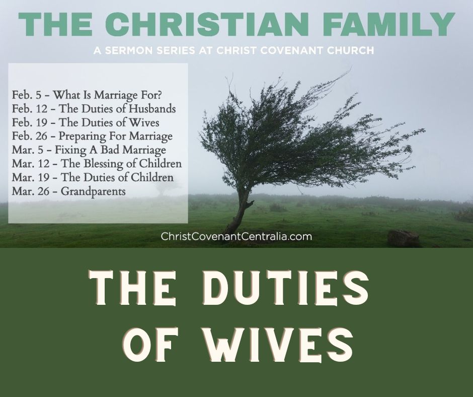 Ep 126 - The Christian Family Part 3 - The Duties of Wives | Aaron Ventura