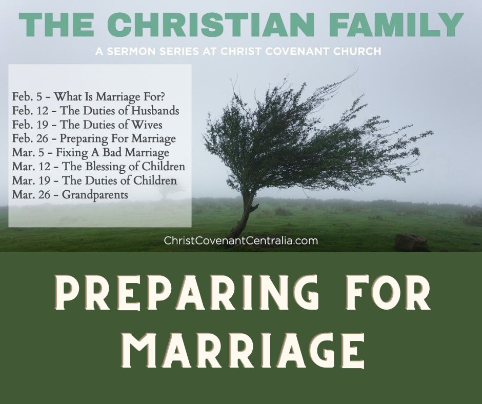 Ep 127 - The Christian Family Part 4 - Preparing for Marriage | Aaron Ventura