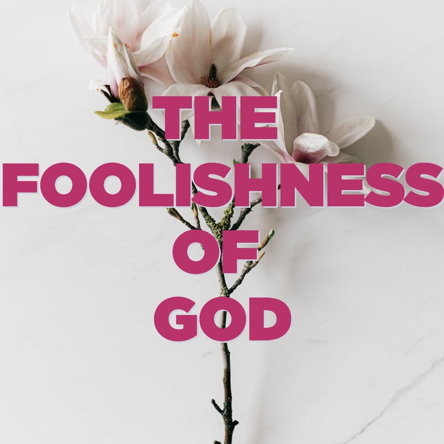 Ep. 137 - 1 Cor. 1:18-31 | The Foolishness of God (Good Friday, 2023) | Aaron Ventura